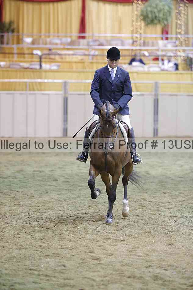 Proof 13usn_31240