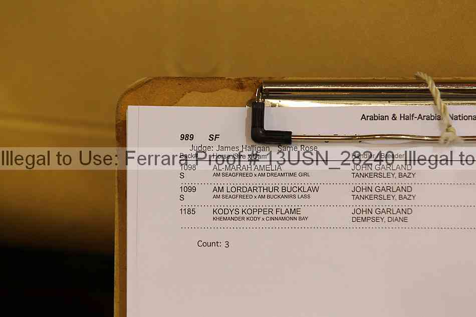 Proof 13usn_28240