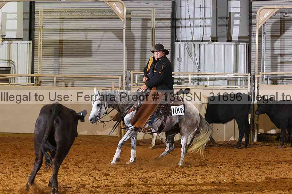 Proof 13usn_31696