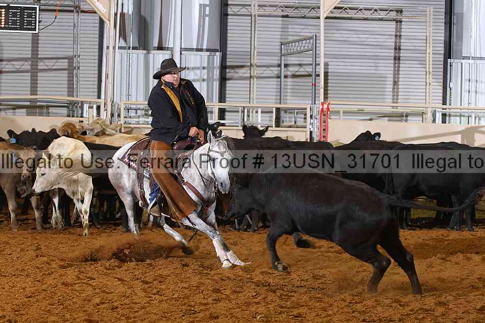 Proof 13usn_31701