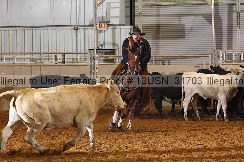 Proof 13usn_31703