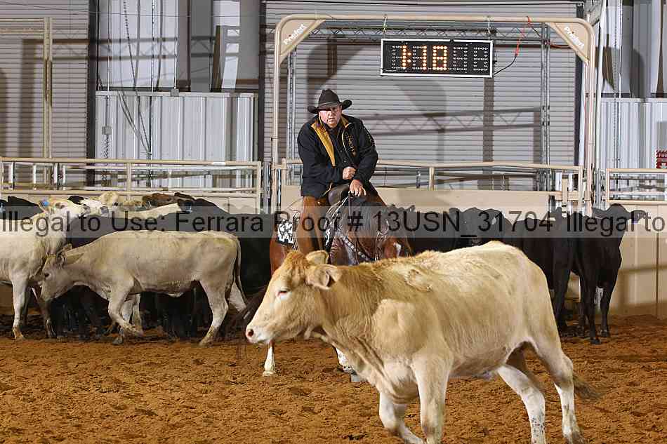 Proof 13usn_31704