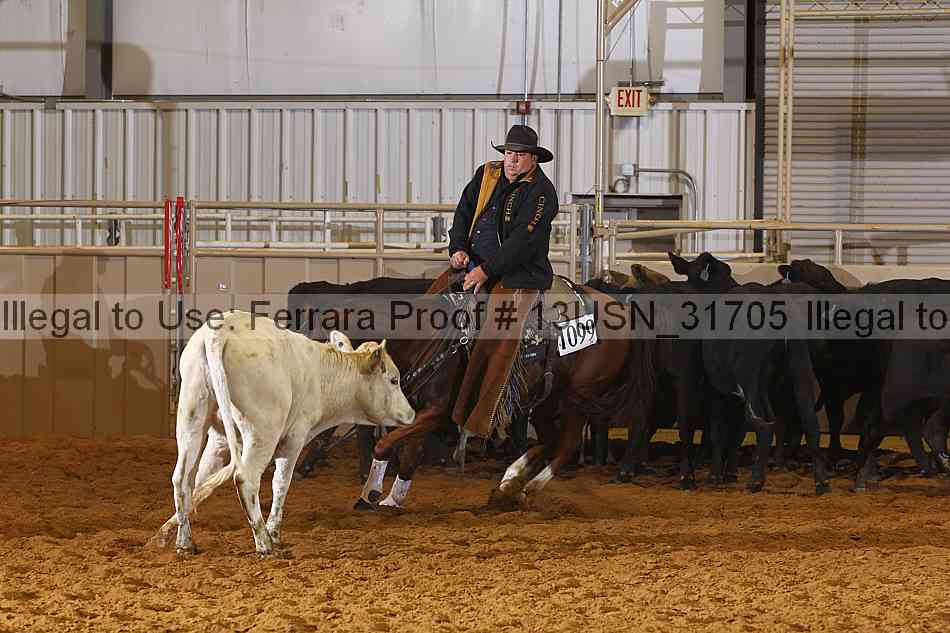 Proof 13usn_31705