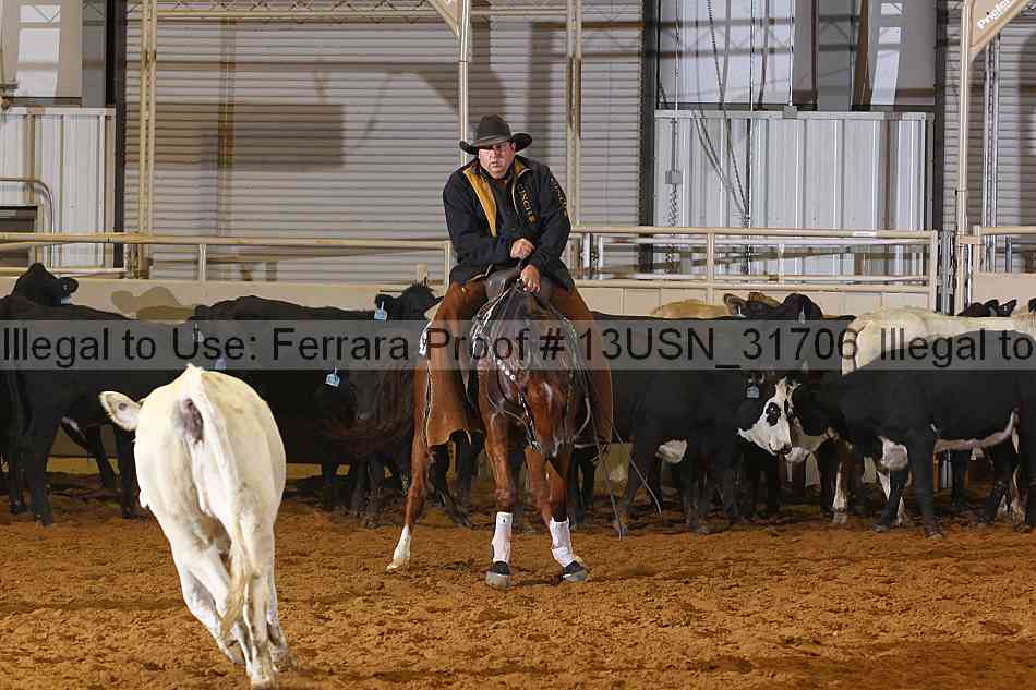 Proof 13usn_31706