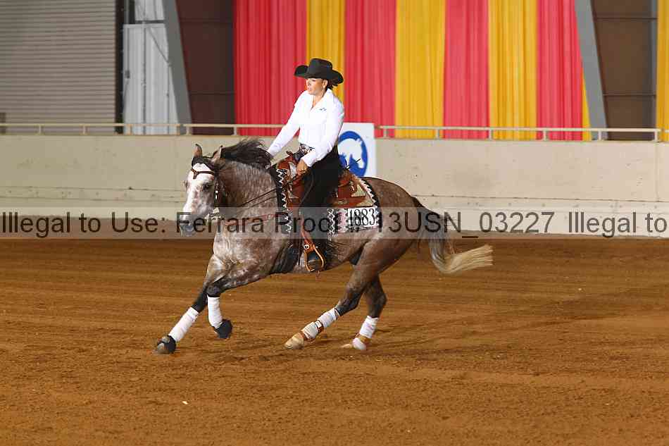 Proof 13usn_03227