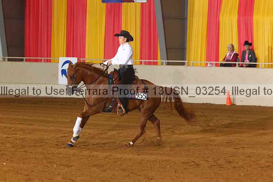 Proof 13usn_03254