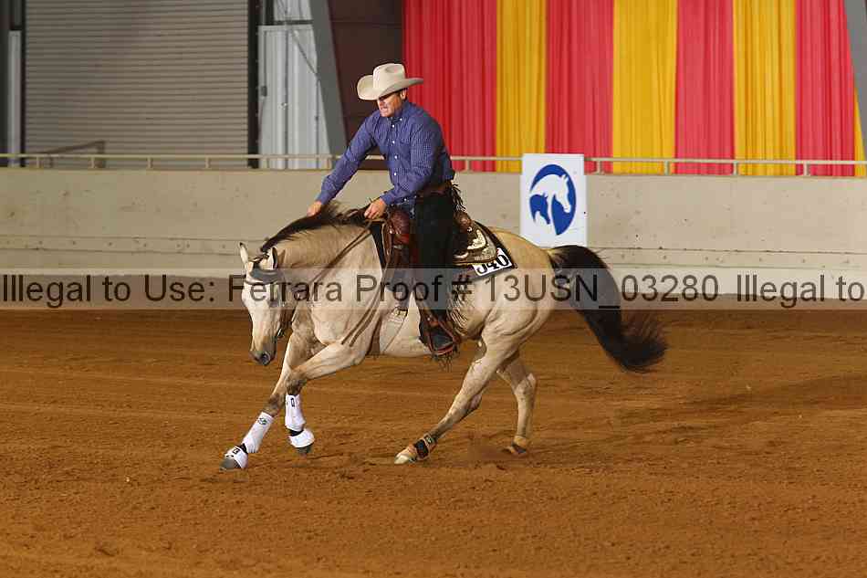 Proof 13usn_03280