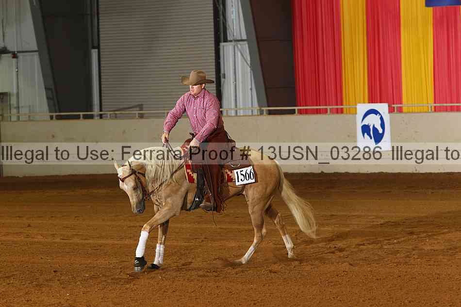 Proof 13usn_03286
