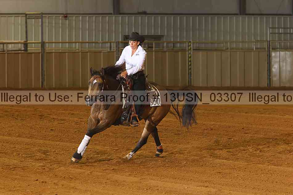 Proof 13usn_03307