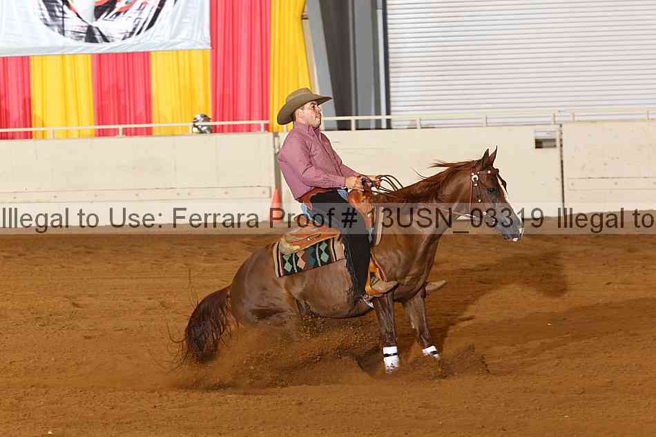 Proof 13usn_03319