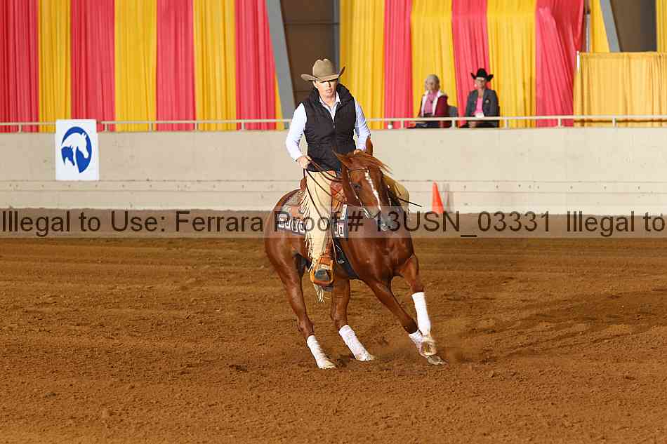 Proof 13usn_03331