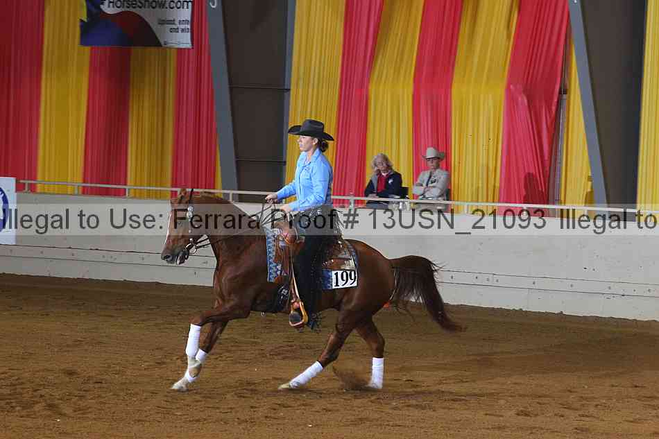 Proof 13usn_21093
