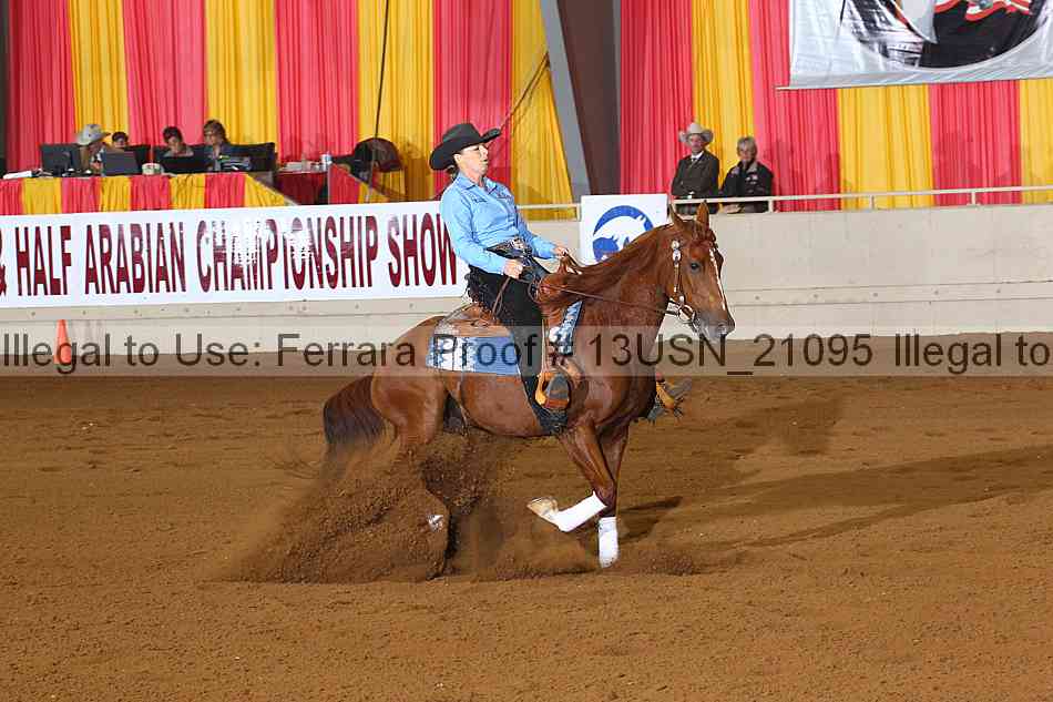Proof 13usn_21095