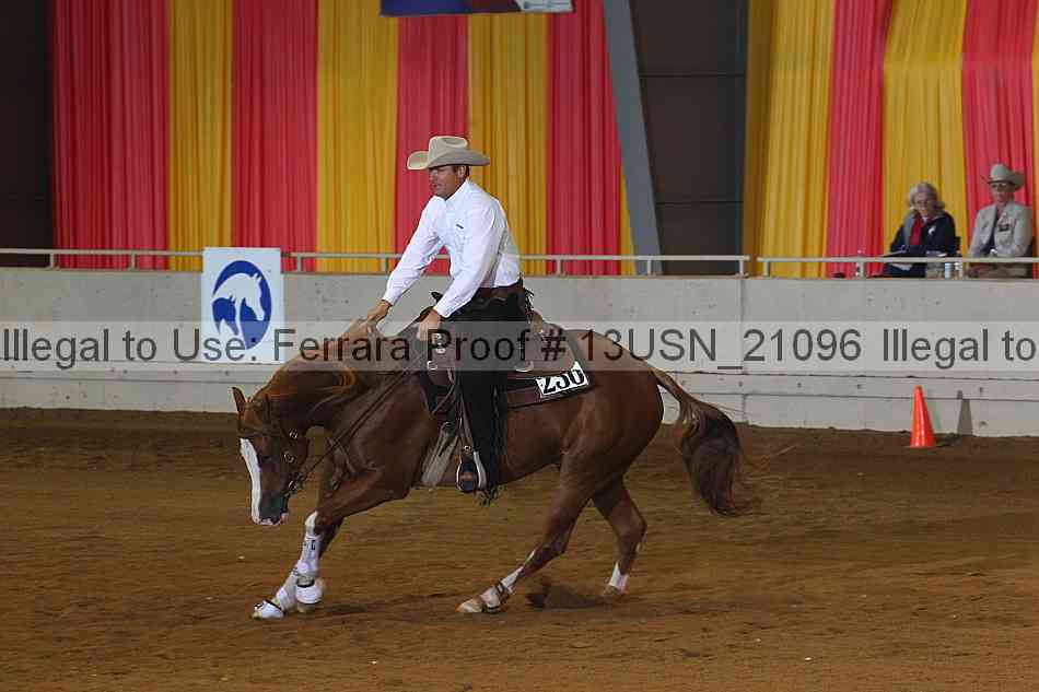 Proof 13usn_21096