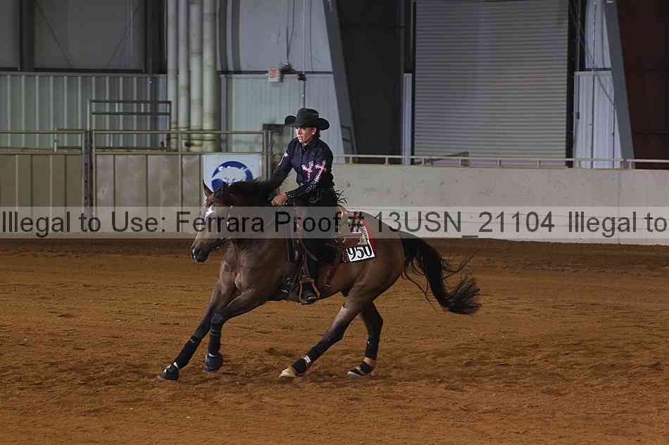 Proof 13usn_21104