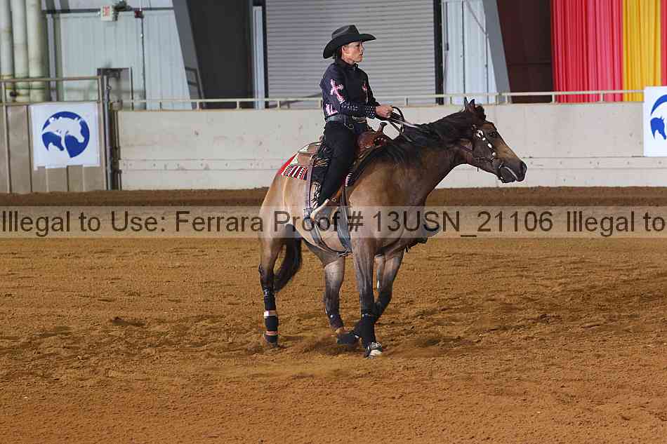 Proof 13usn_21106