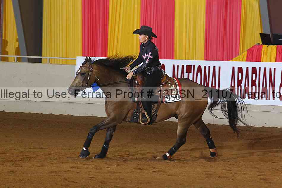 Proof 13usn_21107