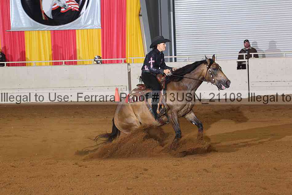 Proof 13usn_21108
