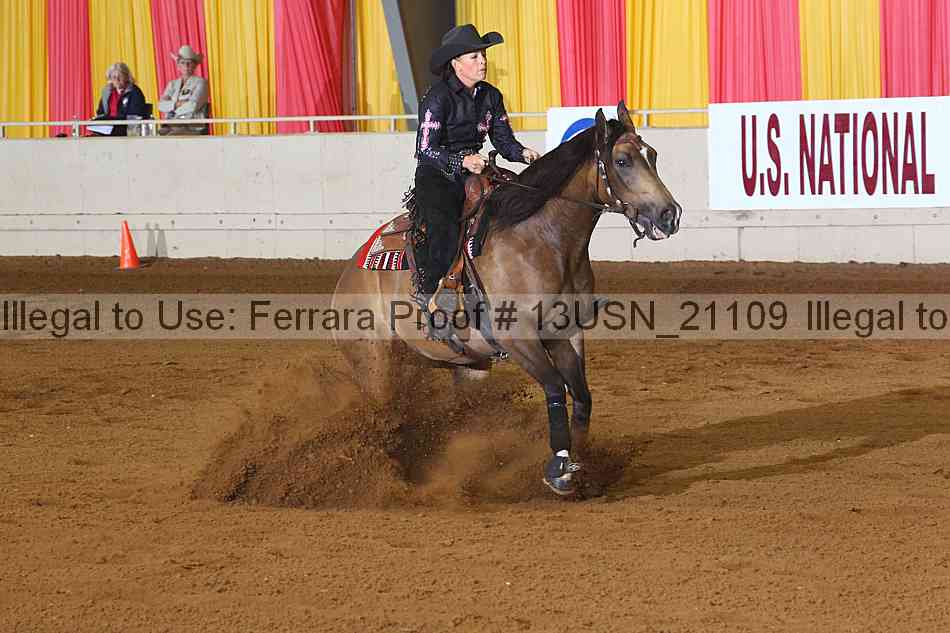 Proof 13usn_21109