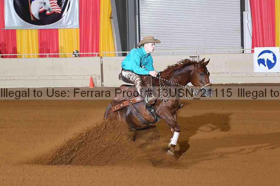 Proof 13usn_21115