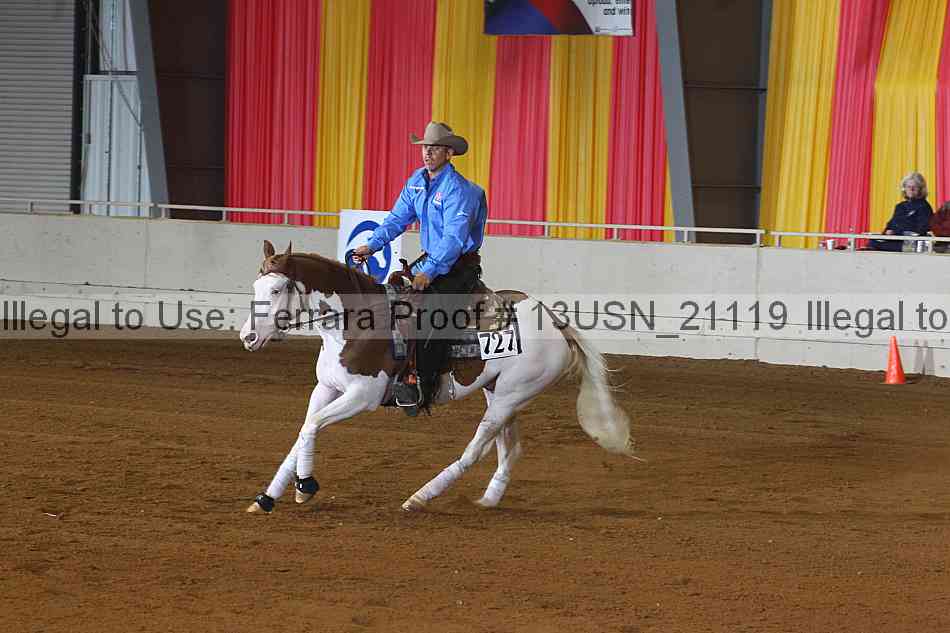 Proof 13usn_21119
