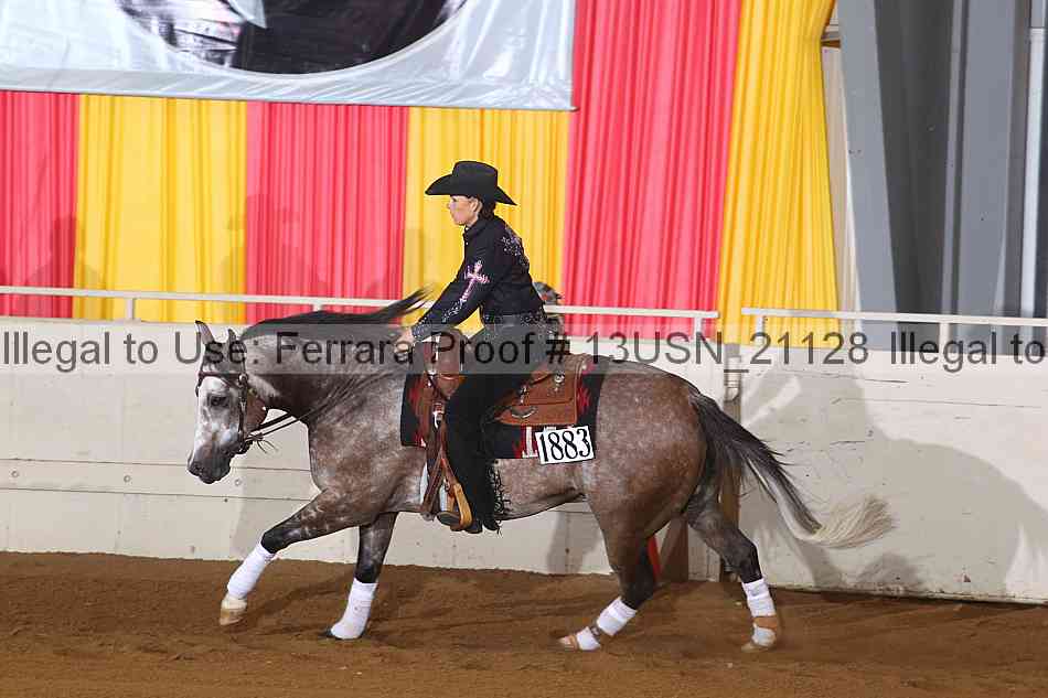 Proof 13usn_21128