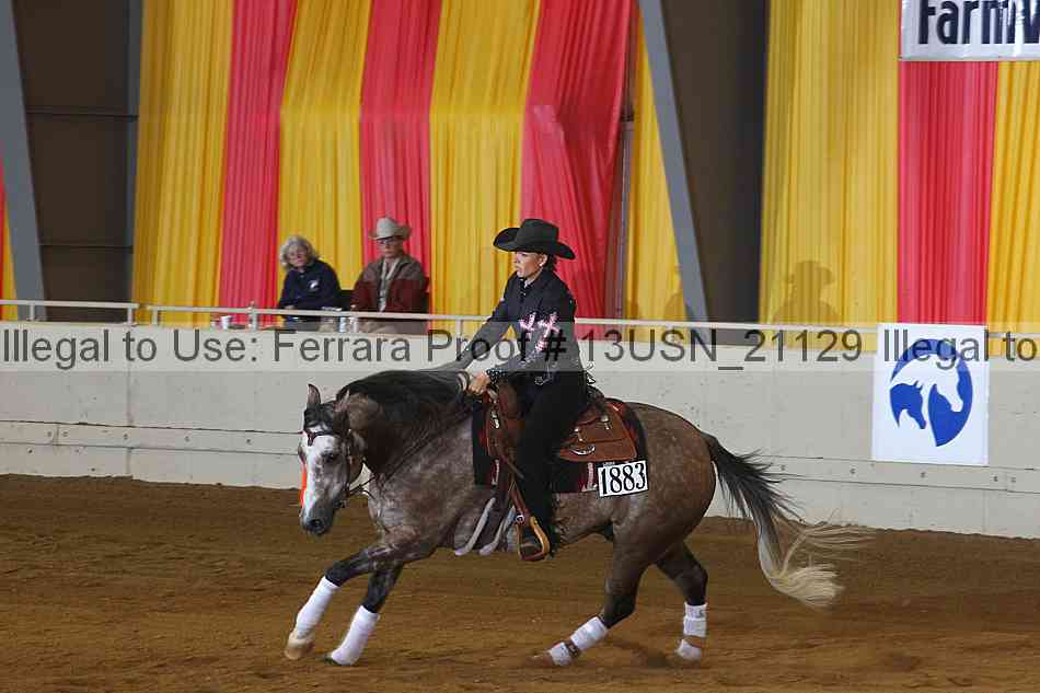 Proof 13usn_21129