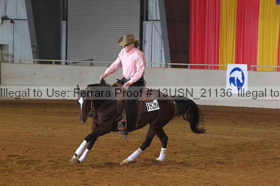 Proof 13usn_21136