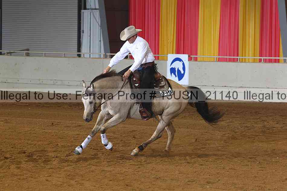 Proof 13usn_21140