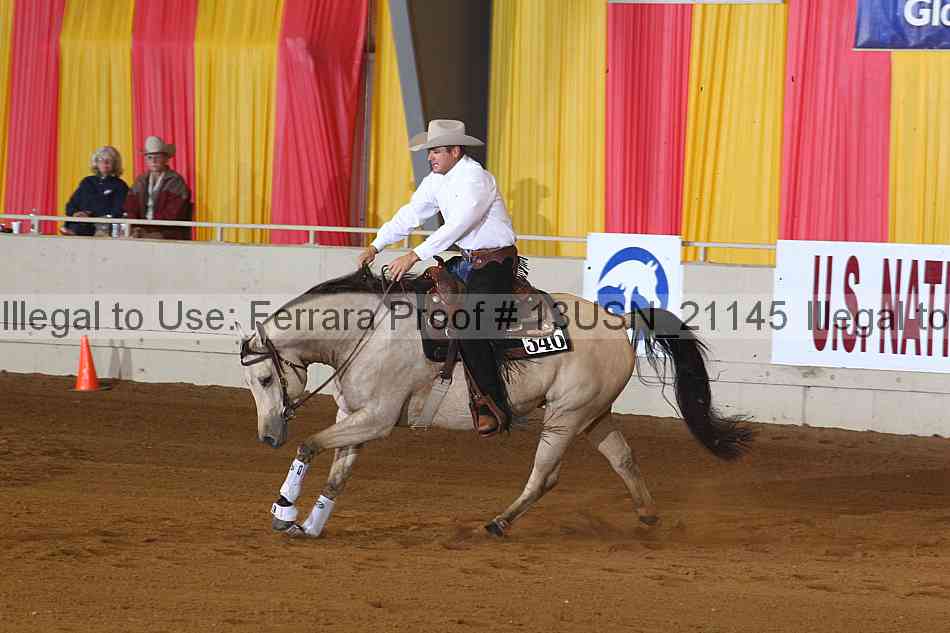 Proof 13usn_21145