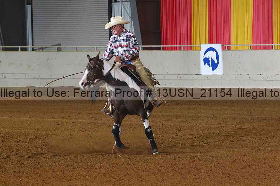 Proof 13usn_21154