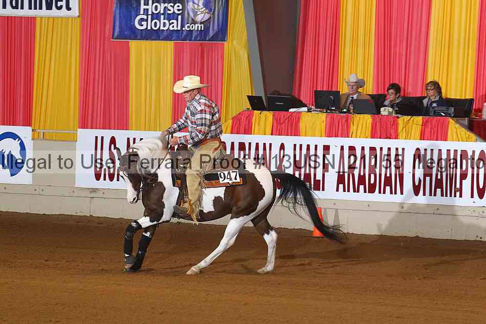 Proof 13usn_21155
