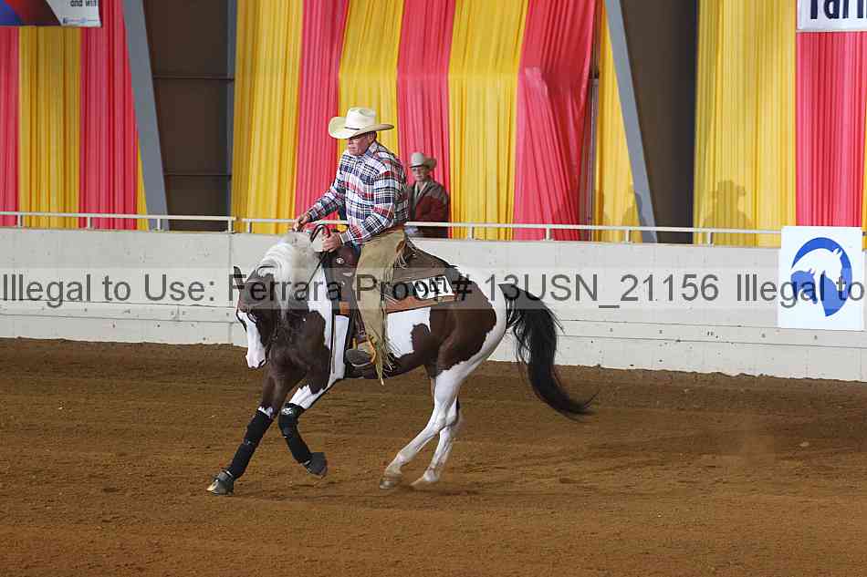 Proof 13usn_21156