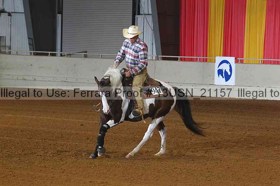 Proof 13usn_21157