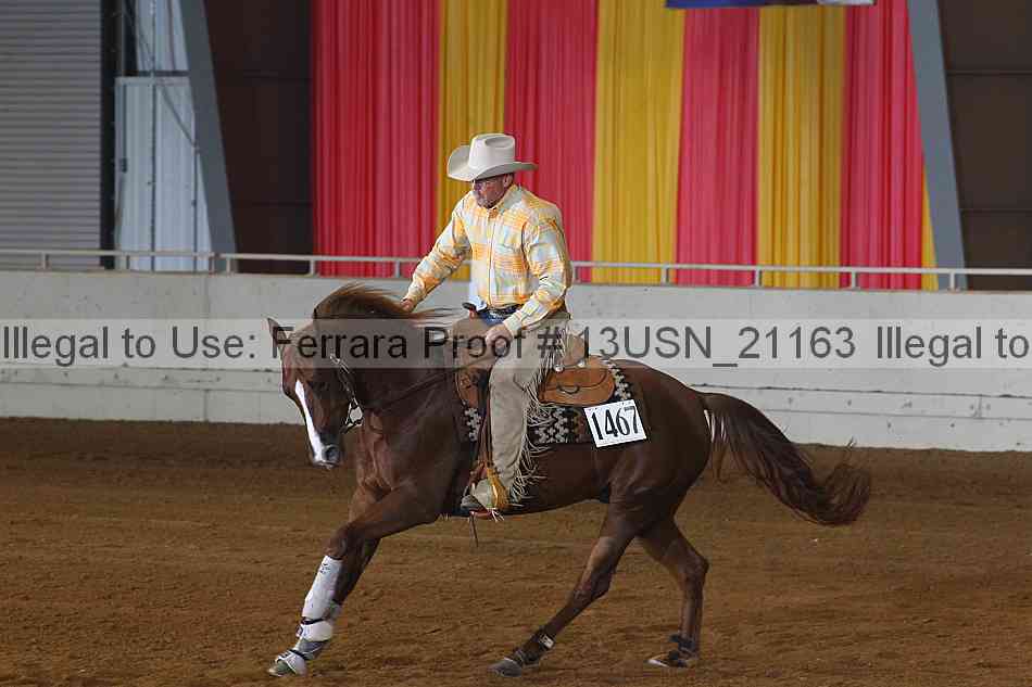 Proof 13usn_21163