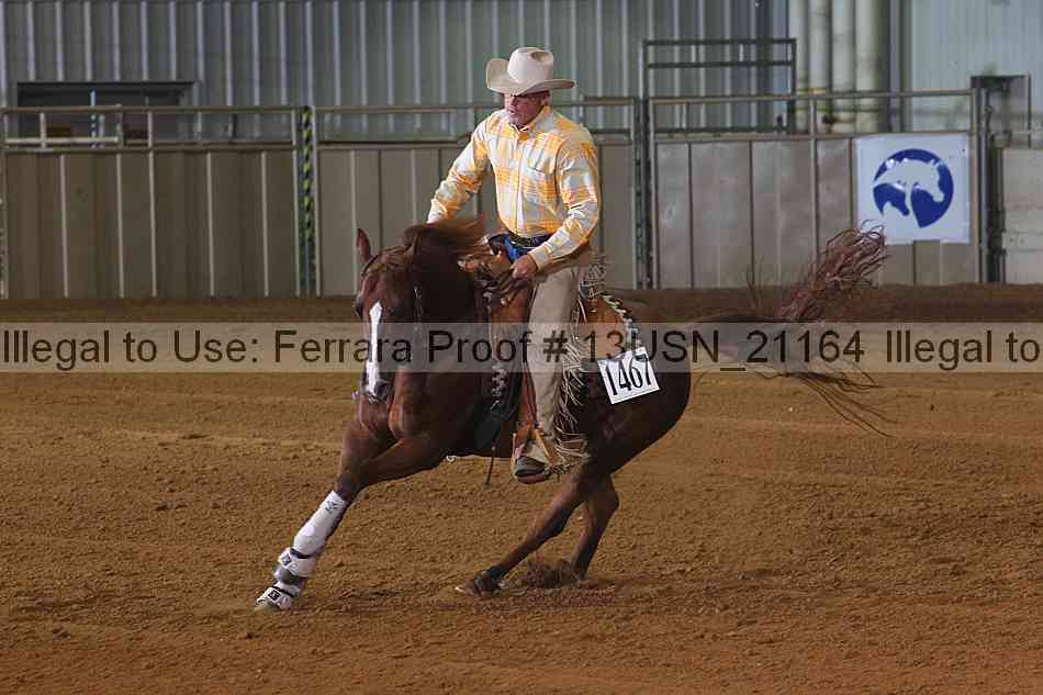 Proof 13usn_21164