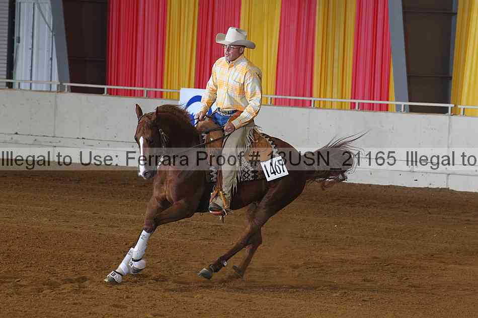 Proof 13usn_21165