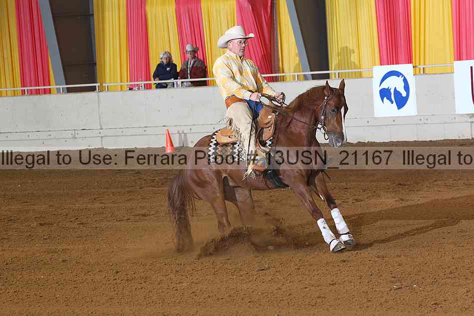 Proof 13usn_21167