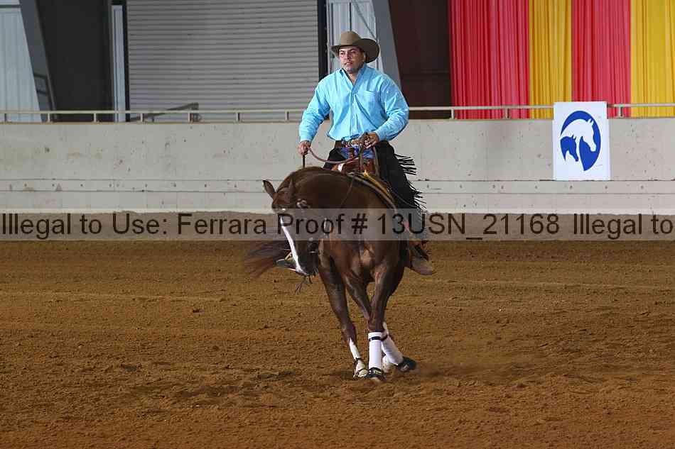 Proof 13usn_21168