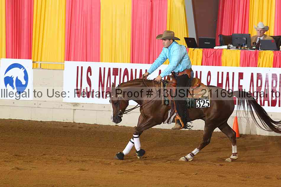 Proof 13usn_21169