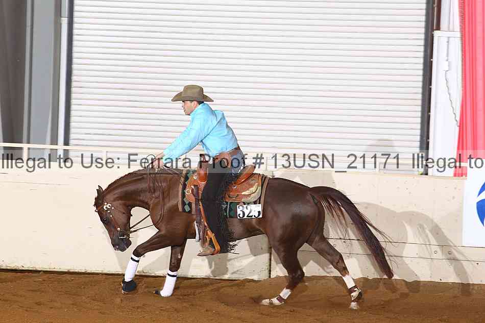 Proof 13usn_21171