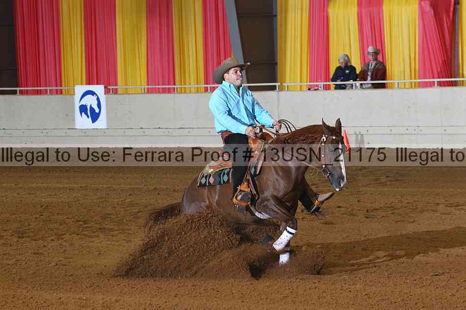 Proof 13usn_21175