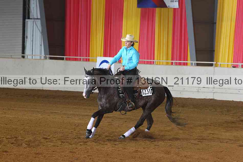 Proof 13usn_21179
