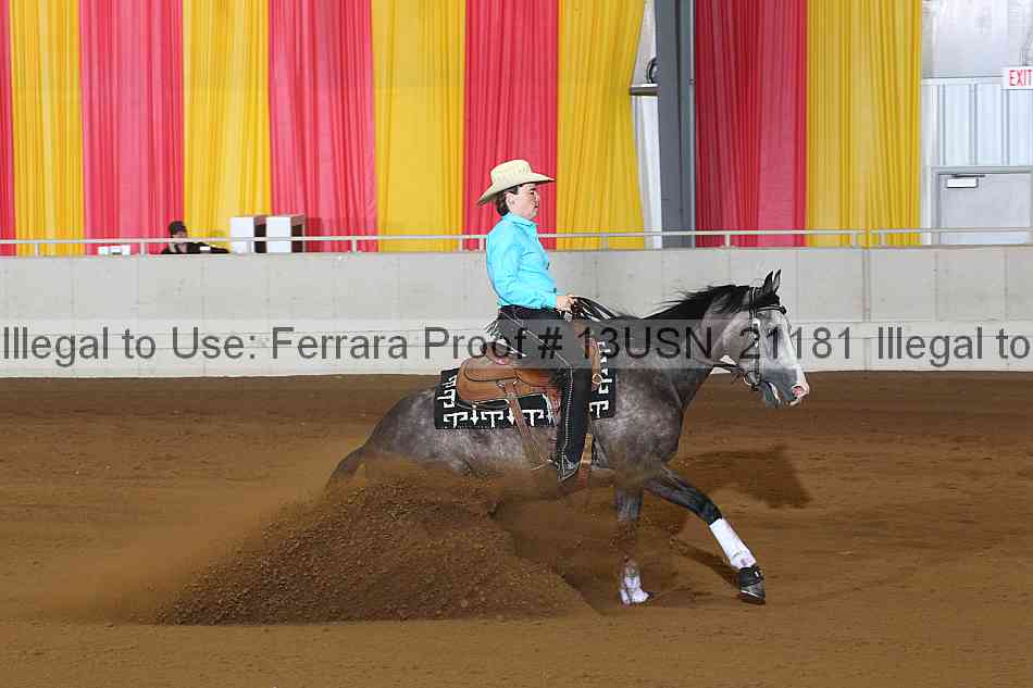 Proof 13usn_21181