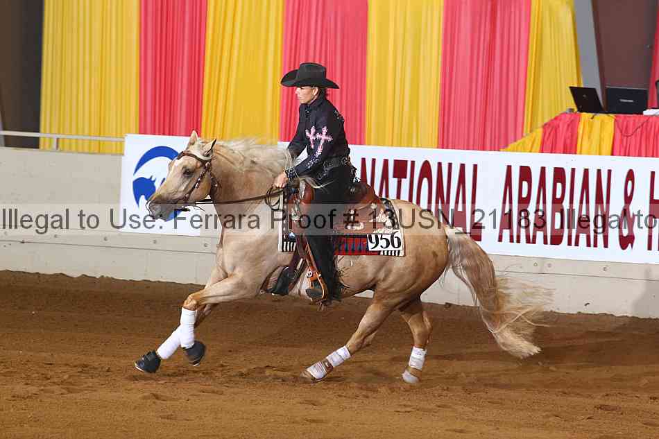 Proof 13usn_21183