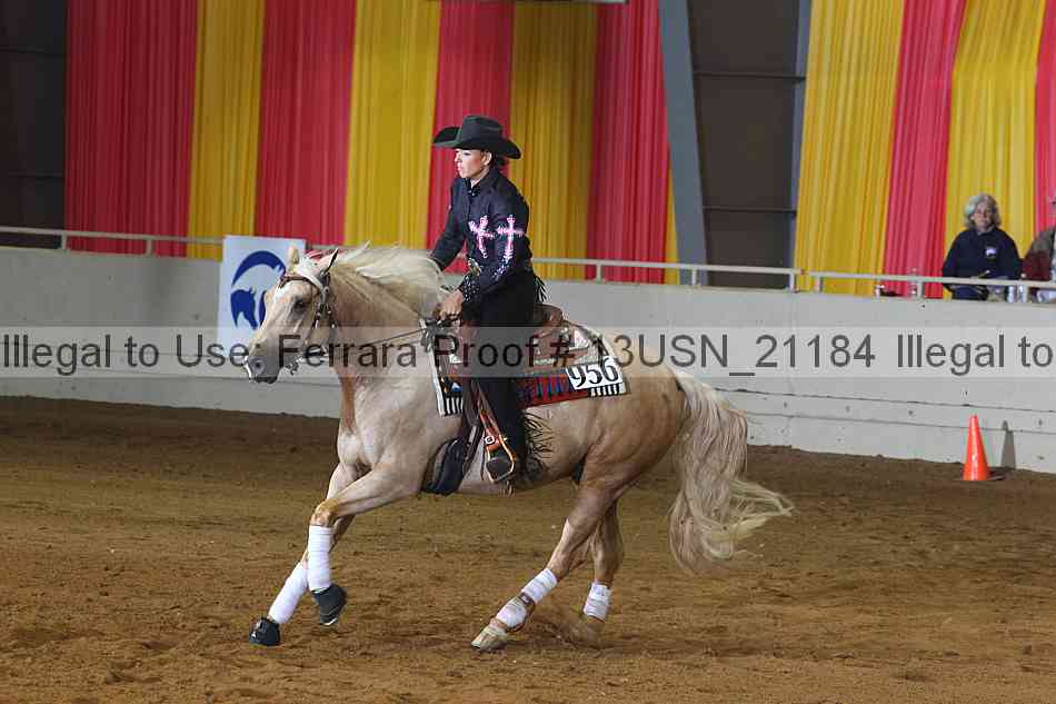 Proof 13usn_21184