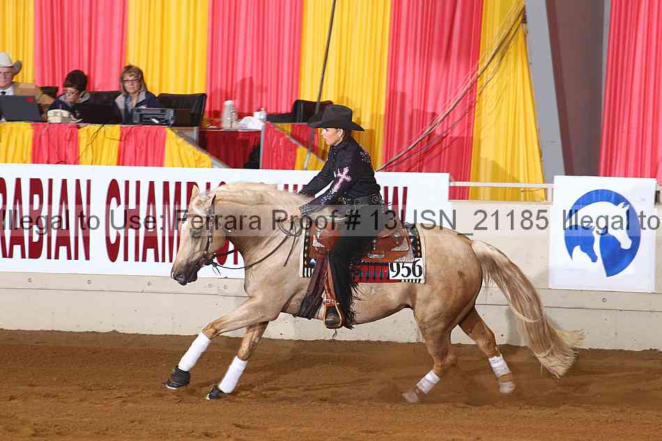 Proof 13usn_21185
