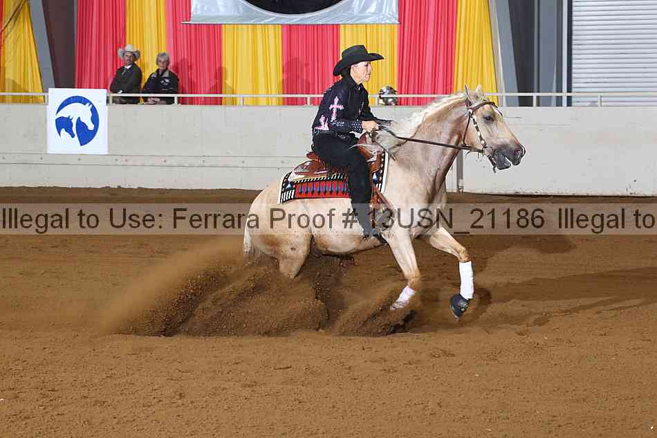 Proof 13usn_21186