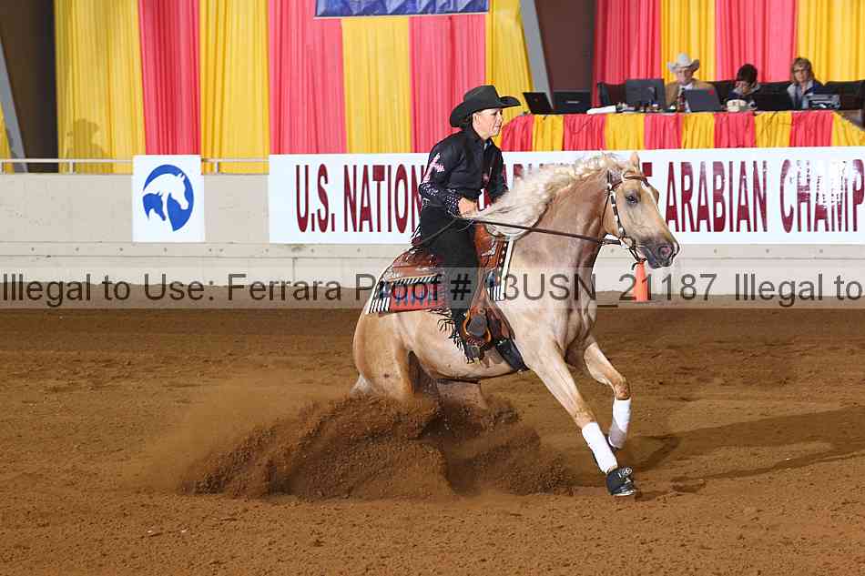 Proof 13usn_21187