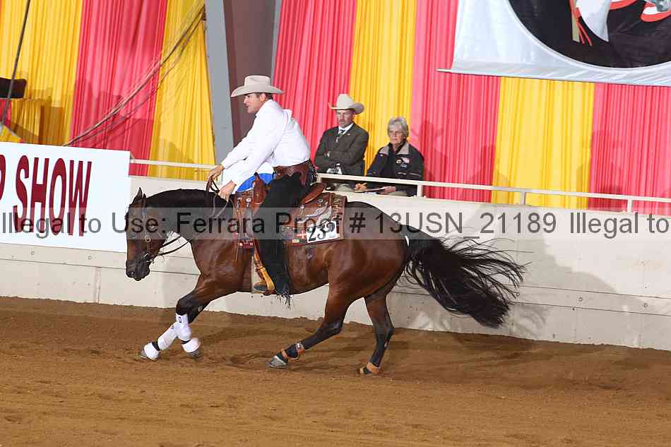 Proof 13usn_21189